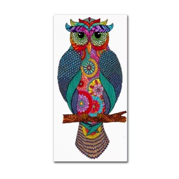 Hello Angel 'Owlmazing' Canvas Art, 12x24, Trademark Fine Art, Mfr#: ALI2794-C1224GG